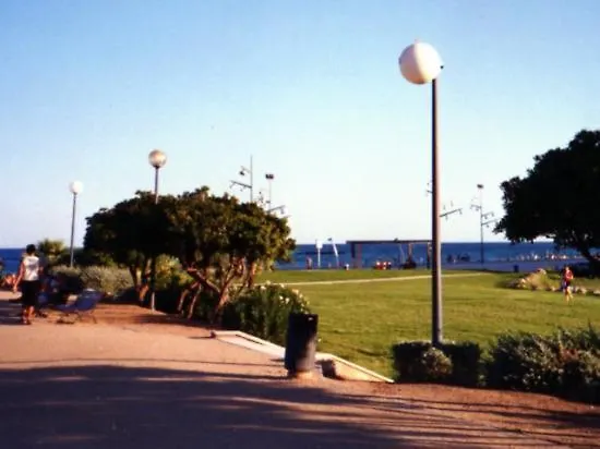 Estudio En La Pineda Spain